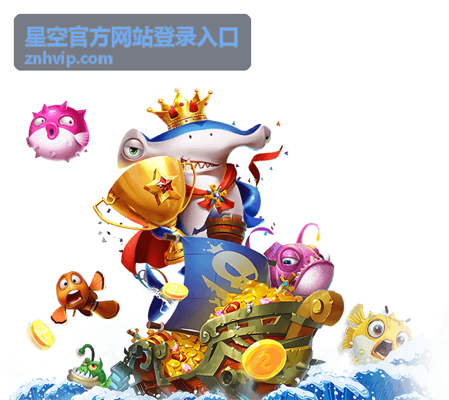 星空官方网站登录入口安全验证流程示意